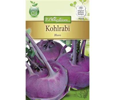 Kohlrabisamen 'Blaro'