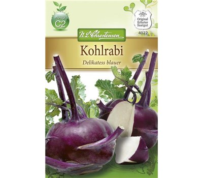 Kohlrabisamen 'Blauer Delikatess'