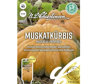 Kürbissamen 'Muscat de Provence'