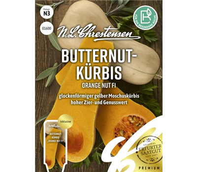 Kürbissamen 'Orange Nut'