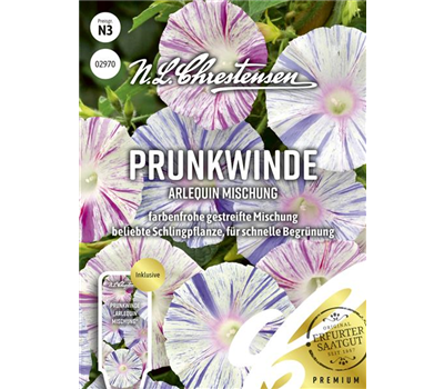 Prunkwindensamen 'Arlequin'