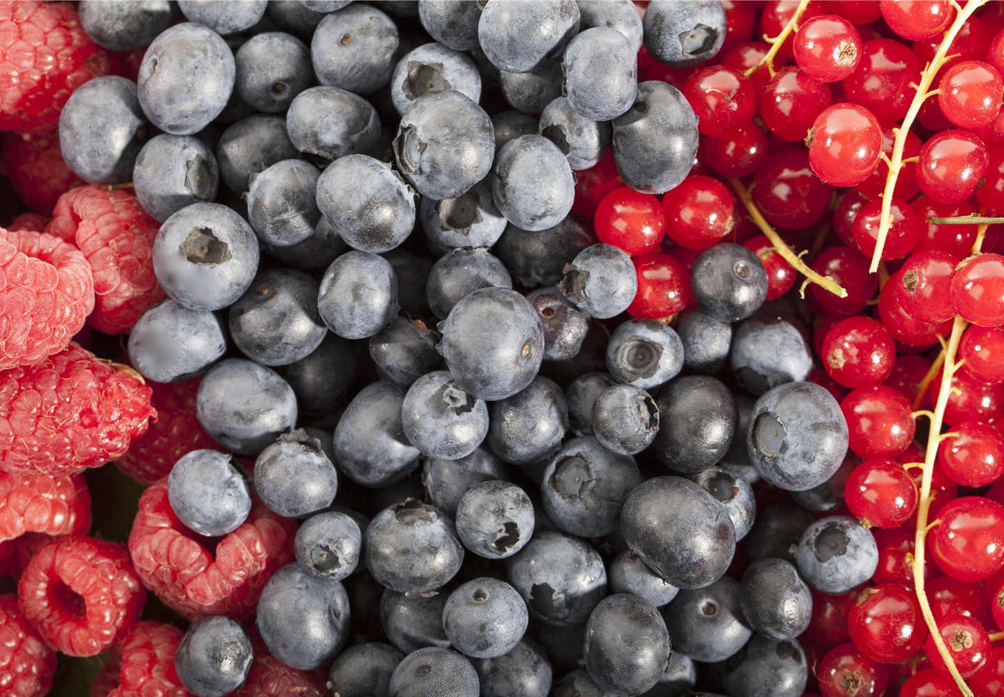 Die Beerenzeit ist sehr vielfältig und lecker