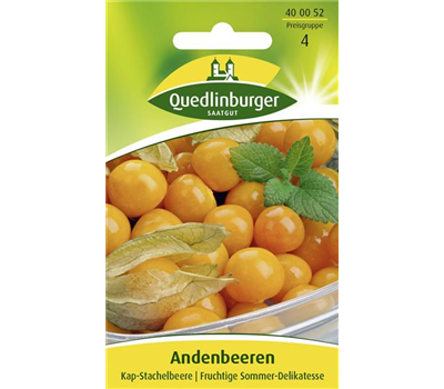 Andenbeerensamen