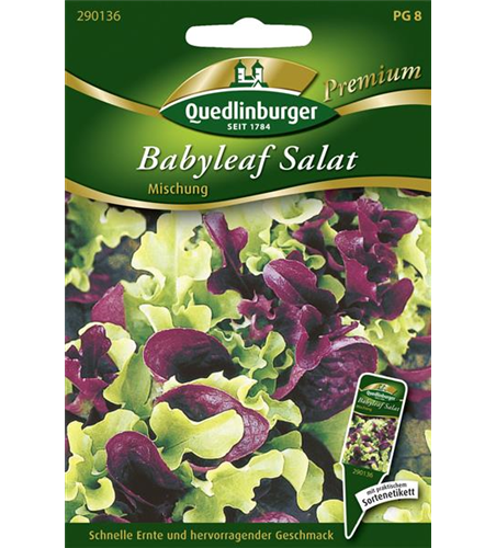 Babyleaf-Salat-Samen