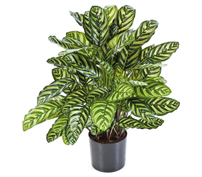 fleur ami CALATHEA Kunstpflanze