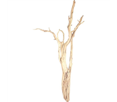 fleur ami Ghostwood