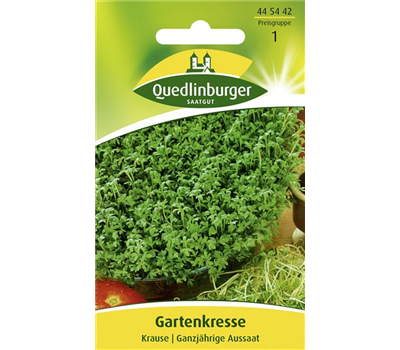 Gartenkressesamen 'Krause'