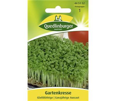 Glattblättrige Gartenkresse-Samen