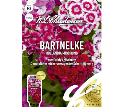 Bartnelkensamen 'Hollandia Mix'