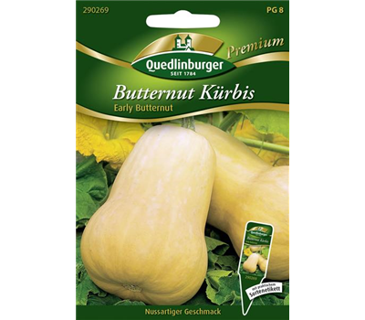 Kürbissamen 'Early Butter Nut F1'