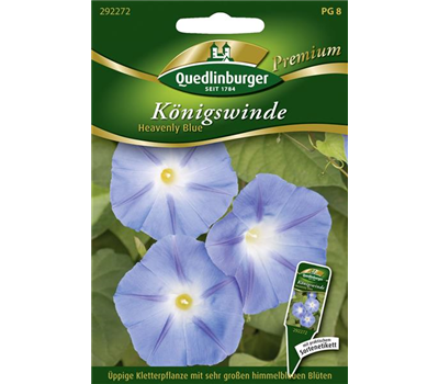 Trichterwindensamen 'Heavenly Blue'