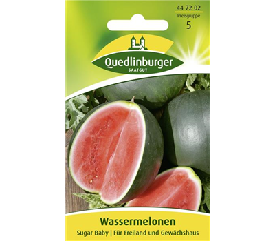 Wassermelonensamen 'Sugar Baby'