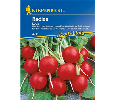 Radieschen 'Lucia'