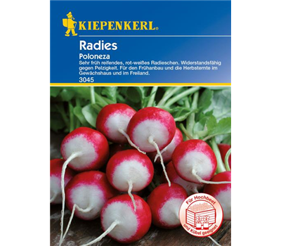 Radieschen 'Poloneza'