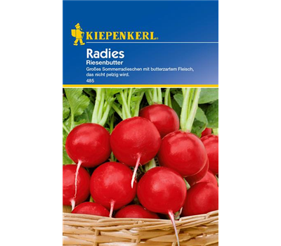 Radieschen 'Riesenbutter'