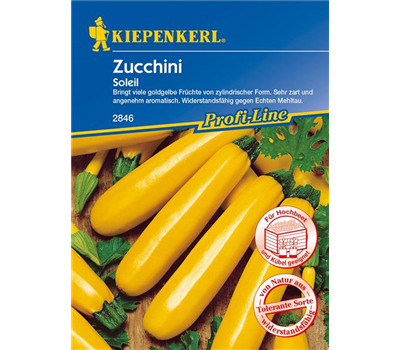 Zucchini 'Soleil F1'