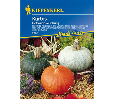 Kürbis 'Hokkaido'