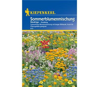 Niedrige Sommerblumen