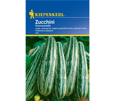 Zucchini 'Coucourzelle'