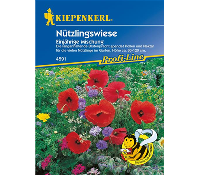 Nützlingswiese