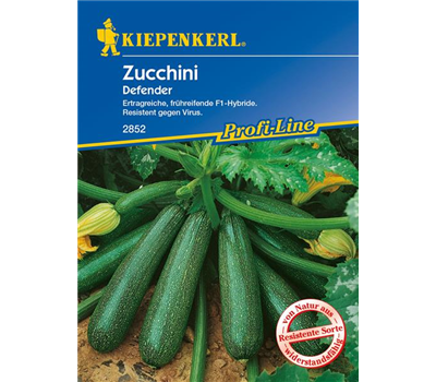 Zucchini 'Defender F1'