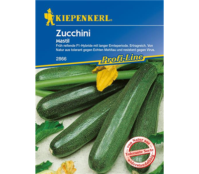 Zucchini 'Mastil'