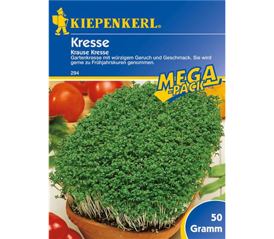 Gartenkresse 'Krause'