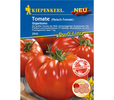 Fleischtomate 'Gigantomo F1'