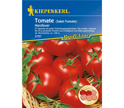 Tomate 'Harzfeuer F1'