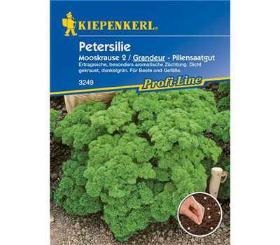 Krause Petersilie 'Grandeur'