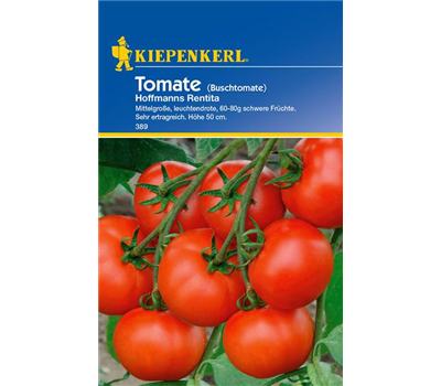 Buschtomate 'Hoffmanns Rentita'