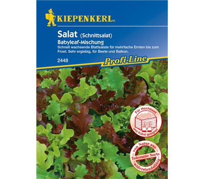 Babyleaf-Salat