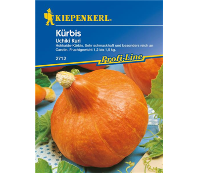 Kürbis 'Uchiki Kuri'