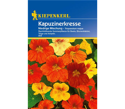 Kapuzinerkresse 'Niedrige Mischung'