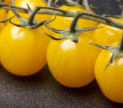 Cherrytomate 'Yellow Clementine'