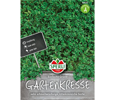 Gartenkresse 'Einfache Grüne'