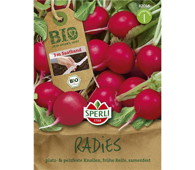 Radieschen 'Rudolf'