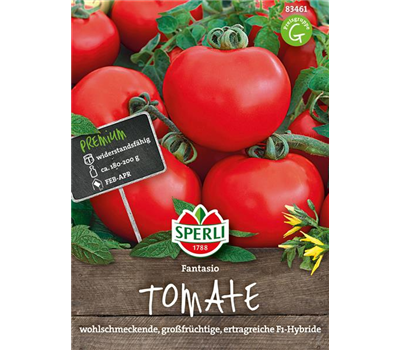 Tomate 'Fantasio F1'