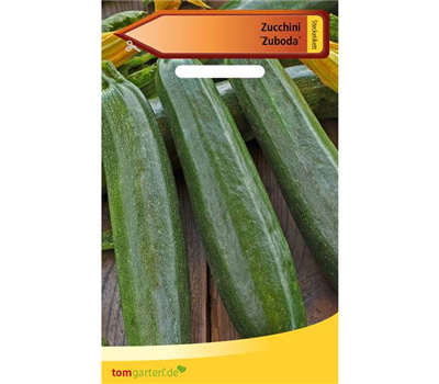 Zucchini 'Zuboda'