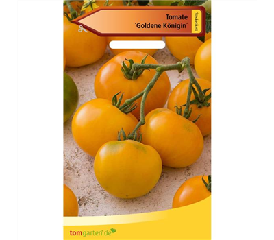 Tomate 'Goldene Königin'